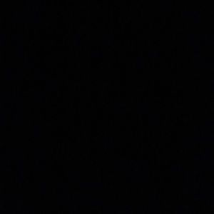 Meet your Posher, Toni